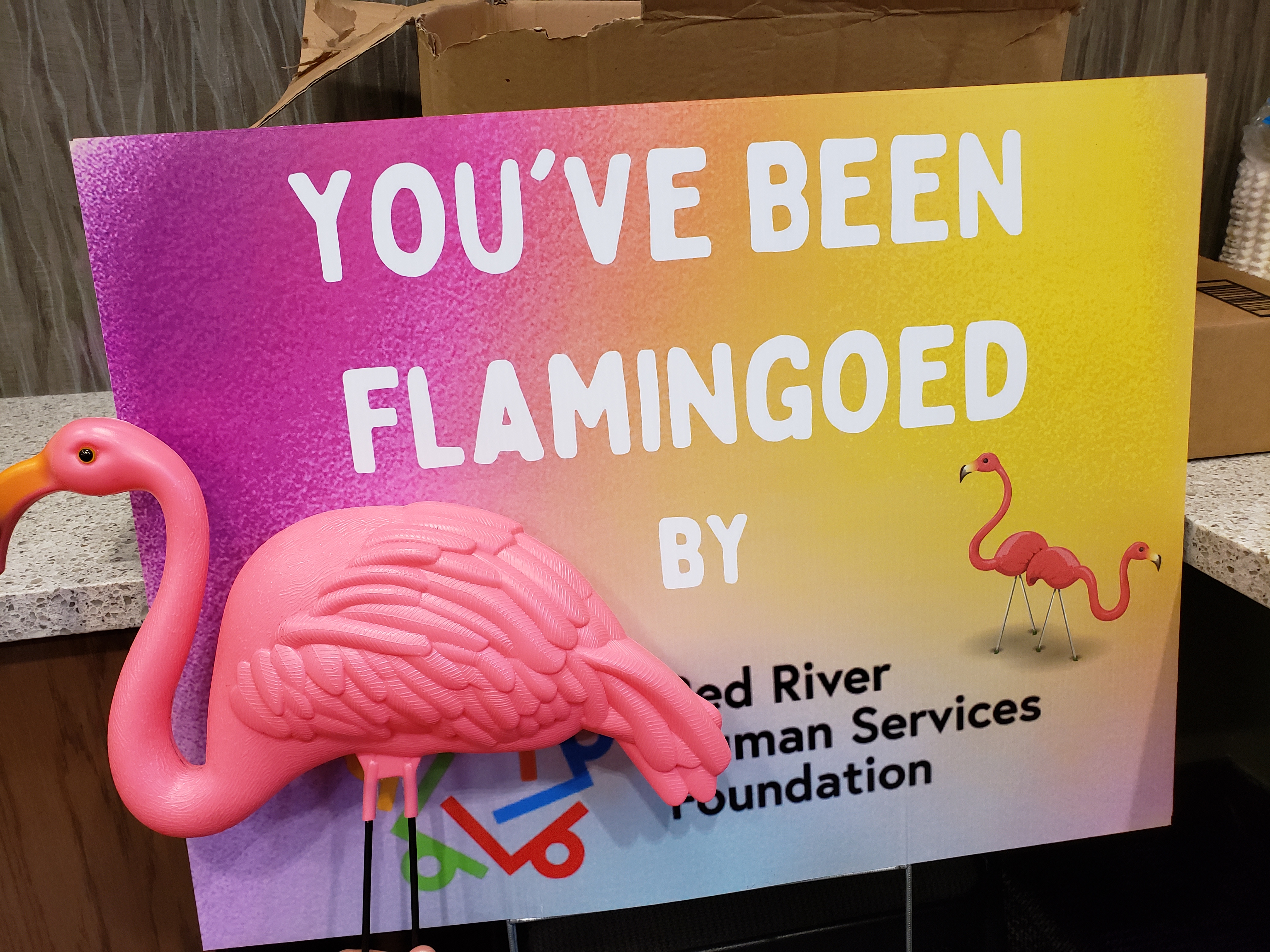 Fargo Day-Hab Flamingo Fundraiser